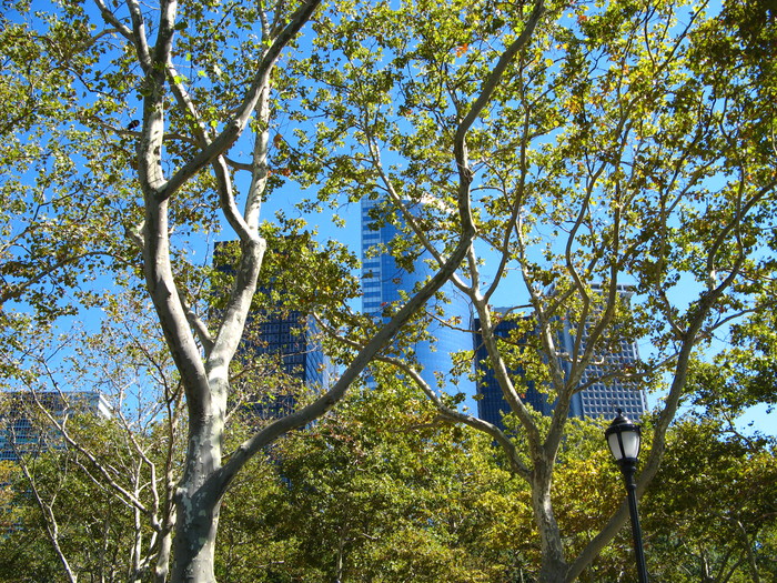 Battery Park