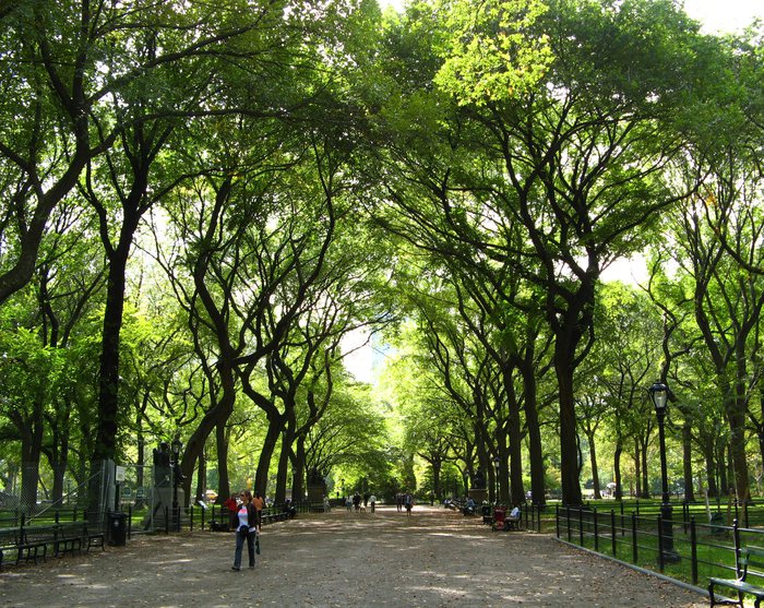 Central Park