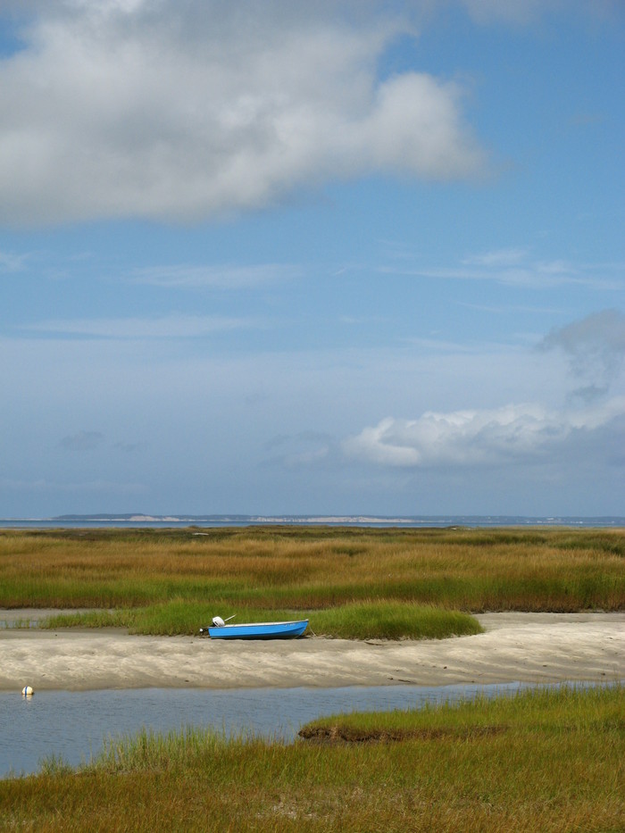 Salt marshes