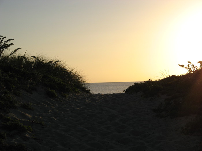 Beach path