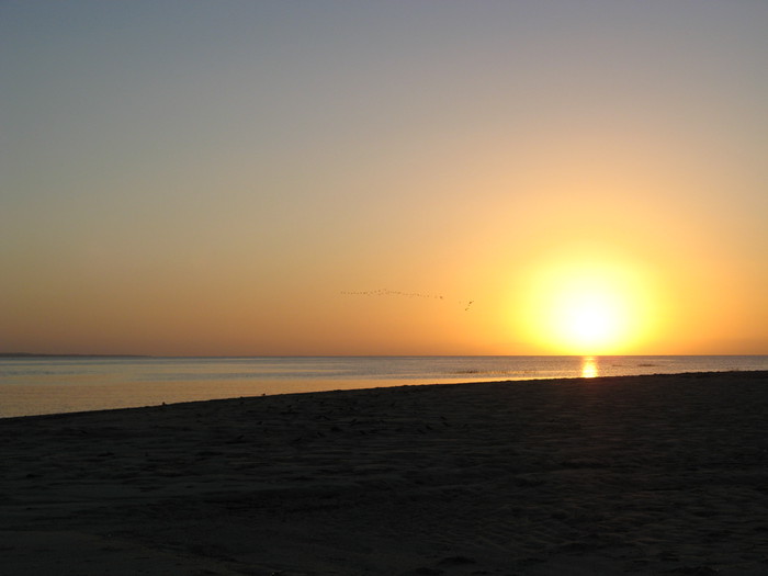 Beach sunset