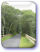 Cape Cod Rail Trail