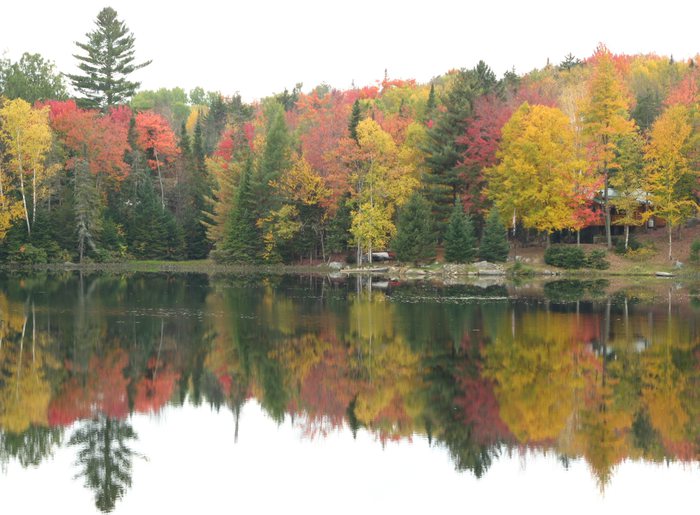 Mirror lake