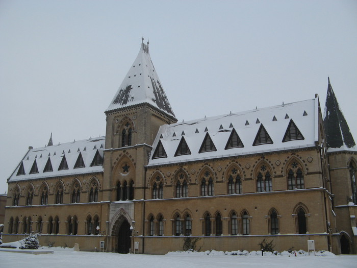 Museum of Natural History